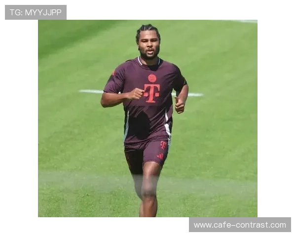 格纳布里合同情况