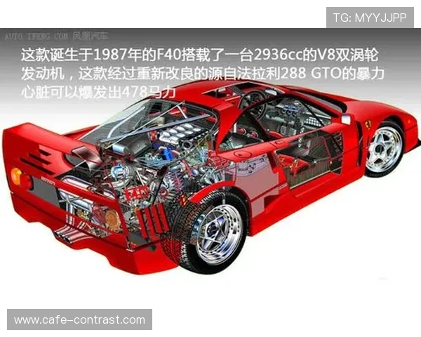 恩佐是否只是一届爆发?大赛表现与持续性分析