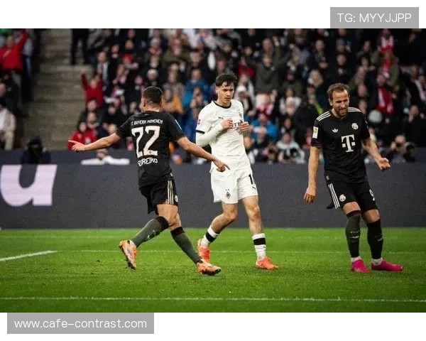 拜仁国内霸主地位松动：德甲竞争格局面临考验，阶段性变化逐步显现